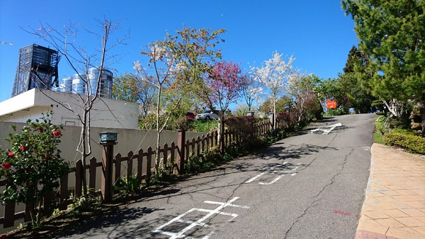儷景花園渡假山莊：南投清境~儷景花園渡假山莊~享受美景的平價住宿~