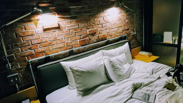 51409941_2249769231721420_2642217189909725184_n