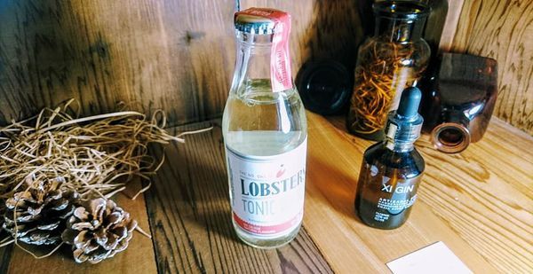 51020972_2249231808441829_4974428042735648768_n