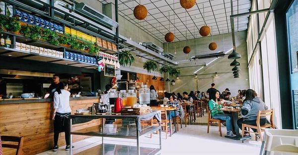 51099753_2250326641665679_6527289364278411264_n