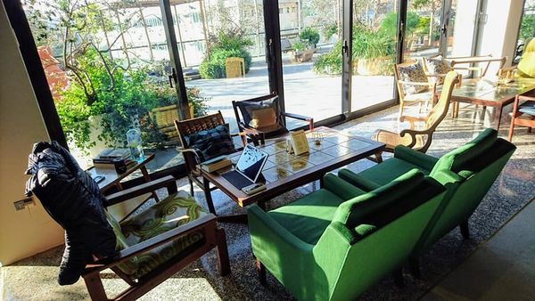 50596796_2249768235054853_3430860446305878016_n