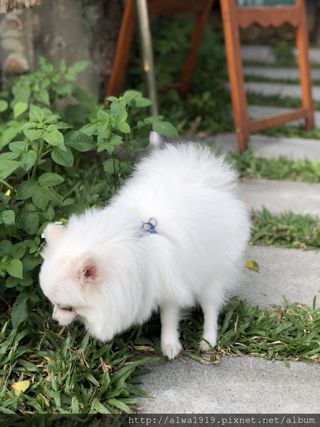 IMG_2349.JPG IMG_2349.JPG