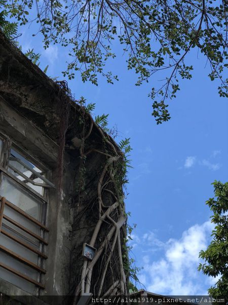 IMG_2353.JPG IMG_2353.JPG