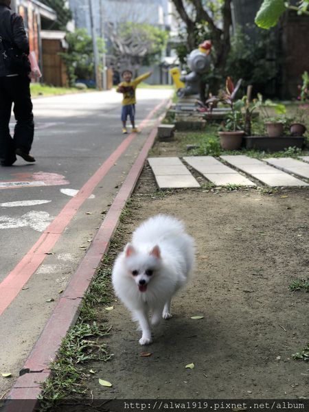 IMG_2347.JPG IMG_2347.JPG