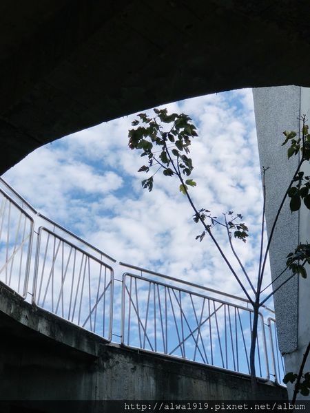 IMG_2359.JPG IMG_2359.JPG