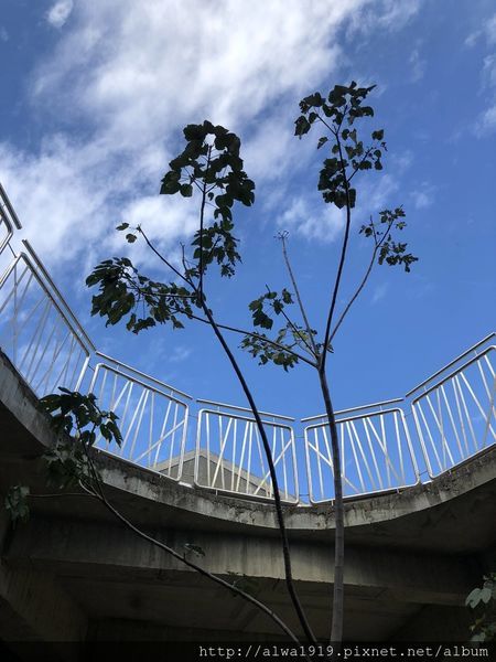 IMG_2388.JPG IMG_2388.JPG