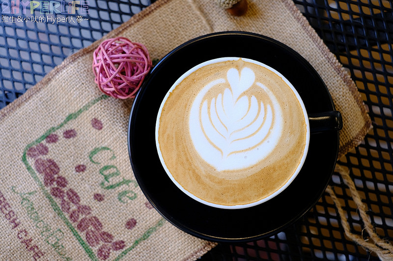  @強生與小吠的Hyper人蔘~