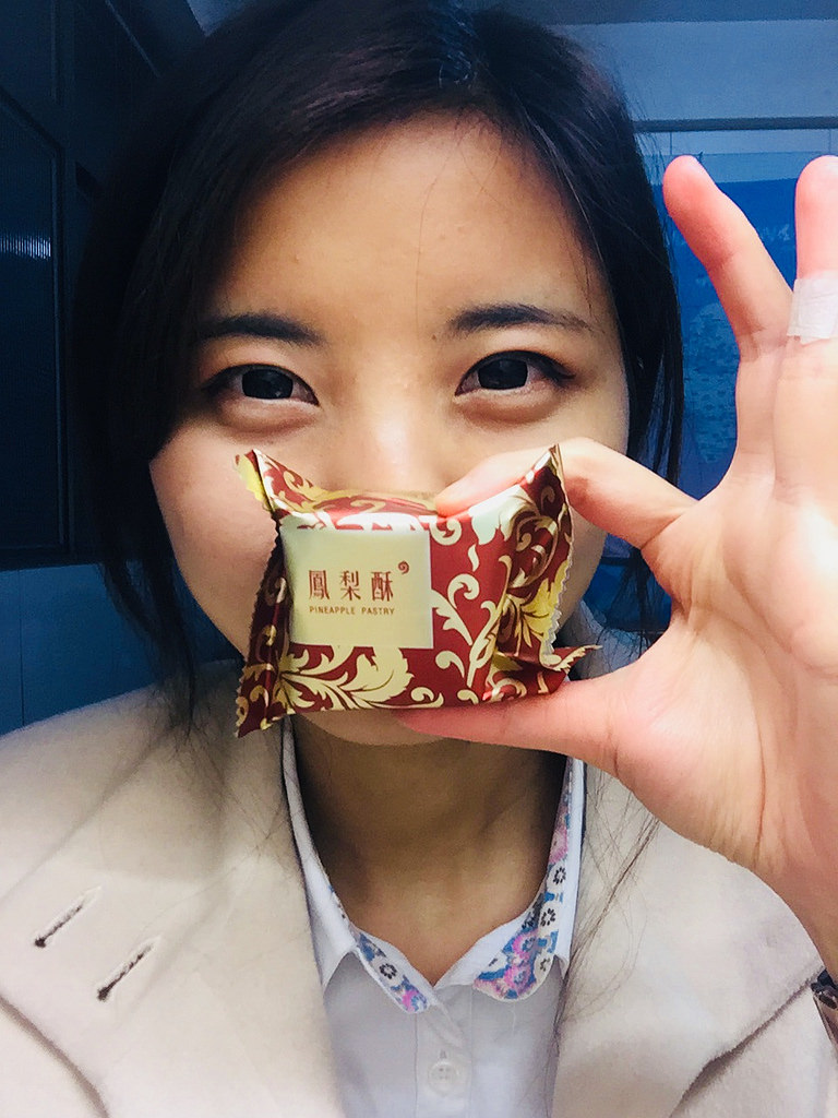 湘禾鳳梨酥雲林伴手禮07