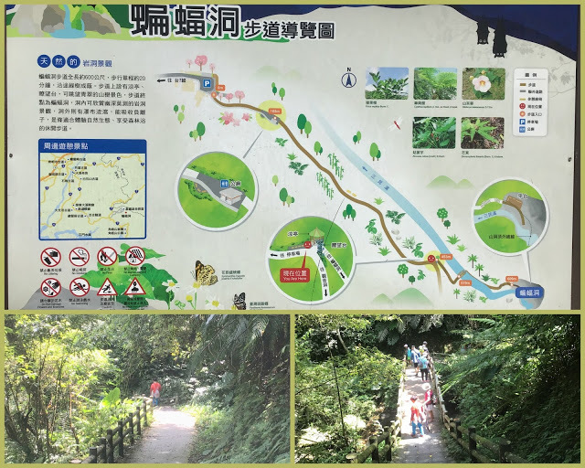 桃園復興鄉景點[三民蝙蝠洞] 水濂洞瀑布今天罷工啦!!