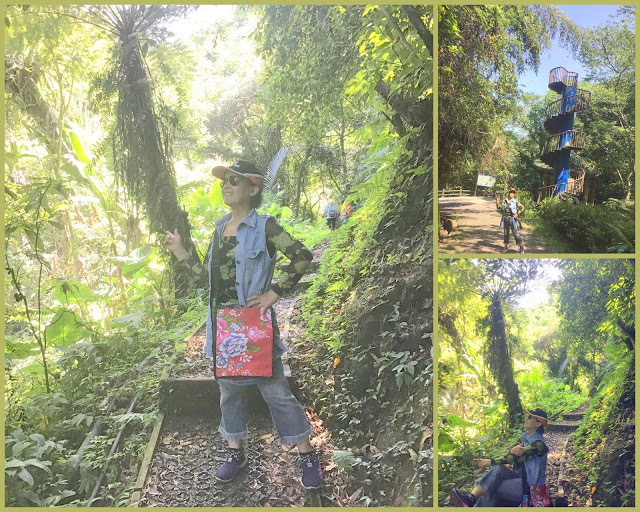 桃園復興鄉景點[三民蝙蝠洞] 水濂洞瀑布今天罷工啦!!