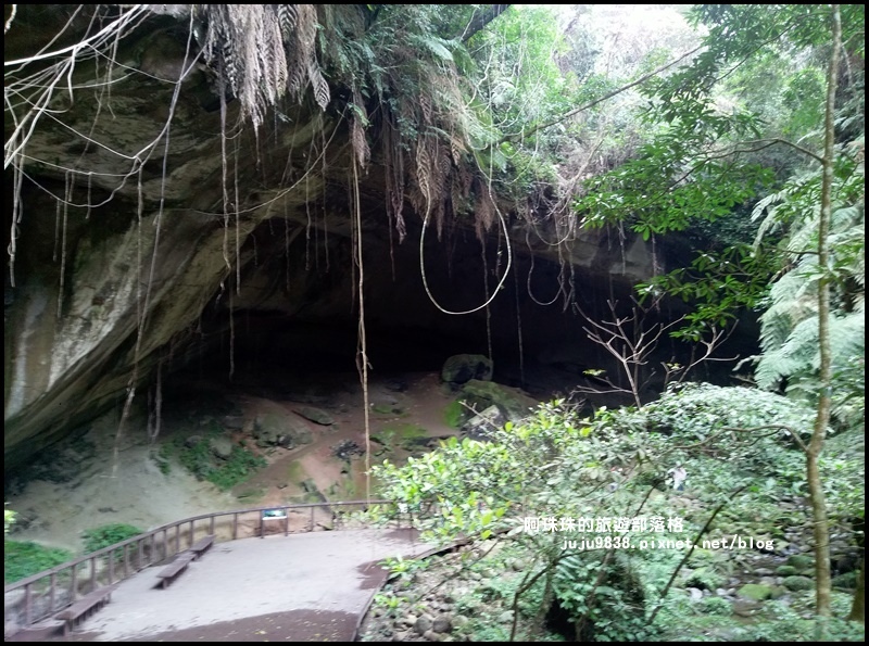 三民蝙蝠洞3.jpg