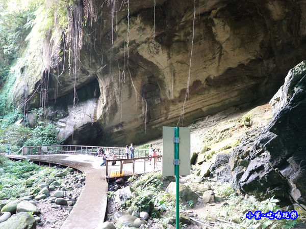 北橫-蝙蝠洞33.jpg