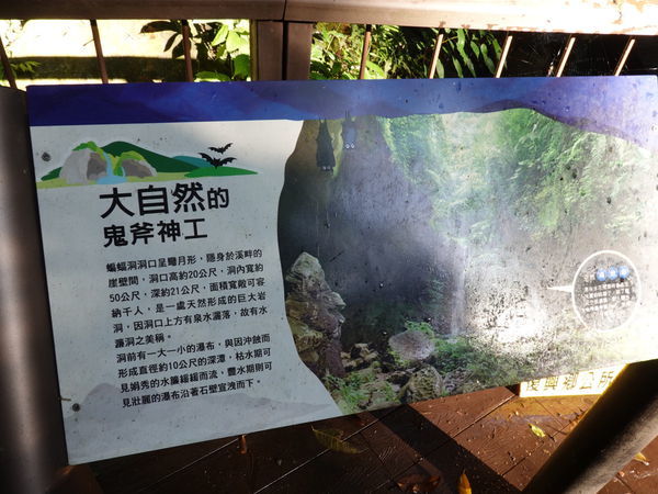 北橫-蝙蝠洞 (1).JPG