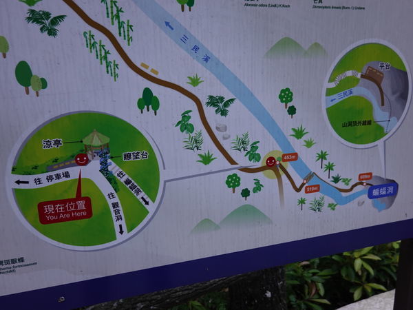 北橫蝙蝠洞步道瞭望台 (1).JPG