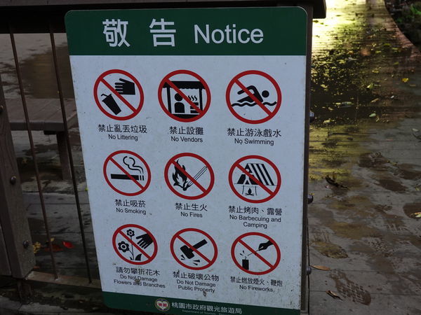 北橫-蝙蝠洞 (2).JPG