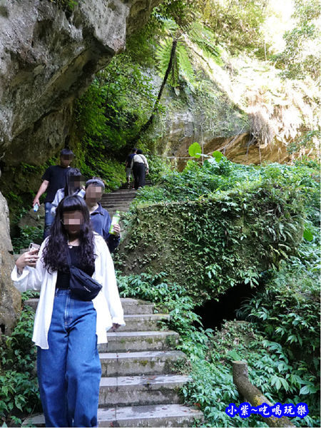 北橫-蝙蝠洞42.jpg