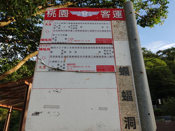 桃園客運-蝙蝠洞乘車時刻表 (2).JPG