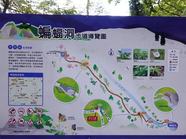 北橫蝙蝠洞步道瞭望台 (2).jpg