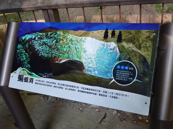 北橫-蝙蝠洞 (3).JPG