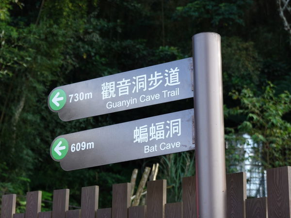 北橫蝙蝠洞步道-入口 (2).JPG