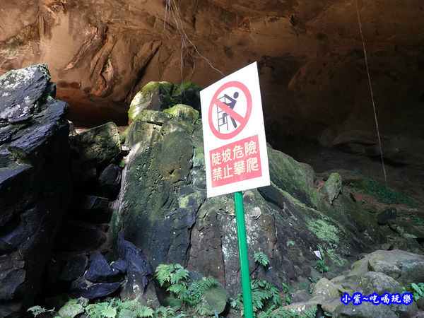 北橫-蝙蝠洞27.jpg