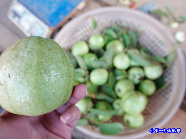 復興蝙蝠洞攤販 (8).jpg