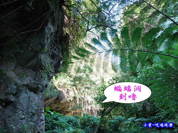 北橫-蝙蝠洞17.jpg
