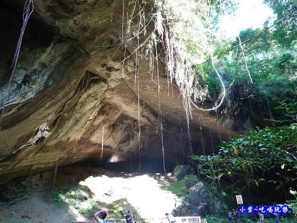 北橫-蝙蝠洞22.jpg
