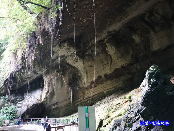 北橫-蝙蝠洞34.jpg