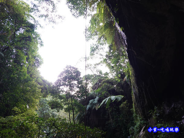 北橫-蝙蝠洞35.jpg