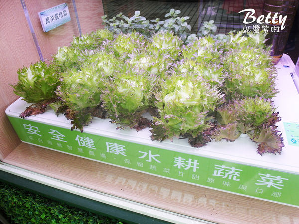 20180407綠的空間 (6).jpg