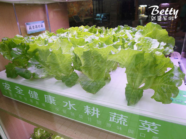 20180407綠的空間 (7).jpg