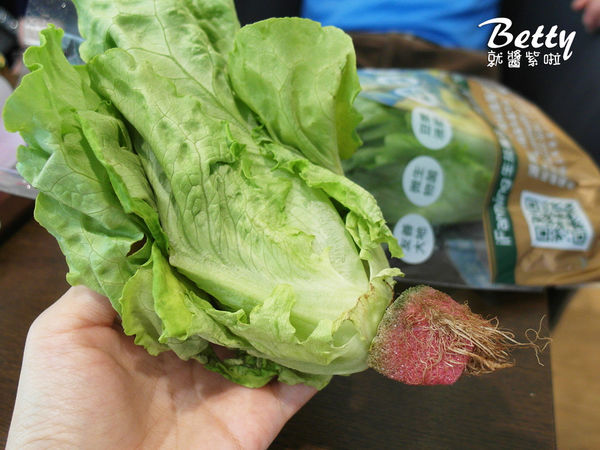 20180407綠的空間 (67).jpg