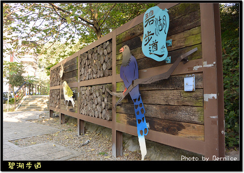 0124 3-碧湖步道01