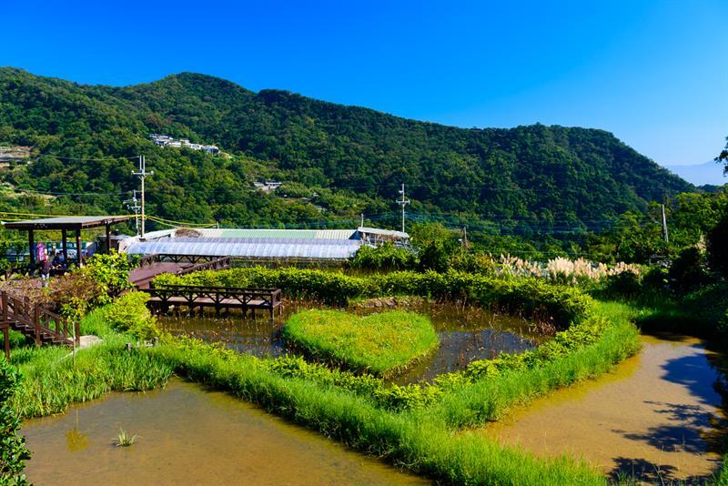 台北內湖草莓季開跑!白石湖輕旅行 Let’s Go! 台北內湖草莓季開跑!白石湖輕旅行 Let’s Go!