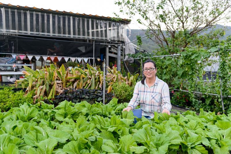 台北內湖草莓季開跑!白石湖輕旅行 Let’s Go! 台北內湖草莓季開跑!白石湖輕旅行 Let’s Go!