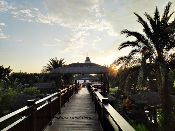 【台中住宿】星月文旅 #台中親子住宿 #星月大地 #玩水 #泡湯 #餵魚 #夕陽 #夜景 #IG打卡熱點 (3).jpg