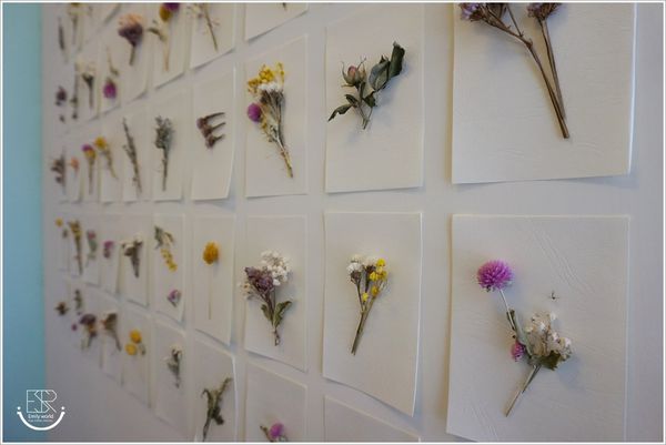 啊雜 AAAzakka  (14)