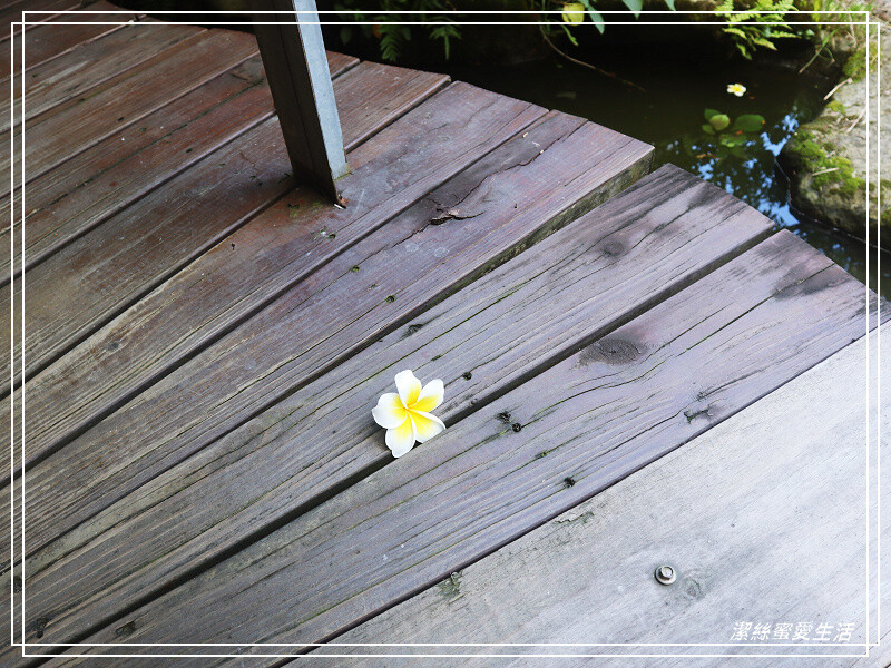 棗莊 古藝庭園膳坊-苗栗公館/庭園民俗藝品x紅棗客家料理.古色古香不只是餐廳