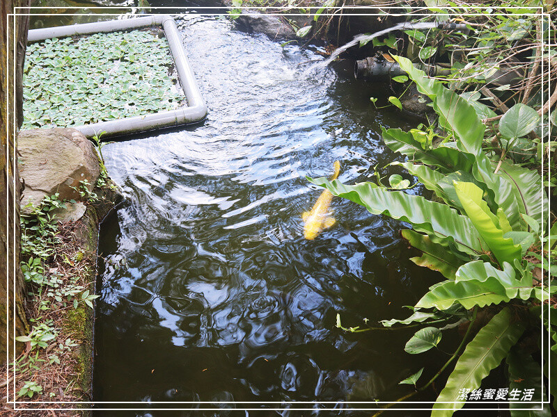 棗莊 古藝庭園膳坊-苗栗公館/庭園民俗藝品x紅棗客家料理.古色古香不只是餐廳