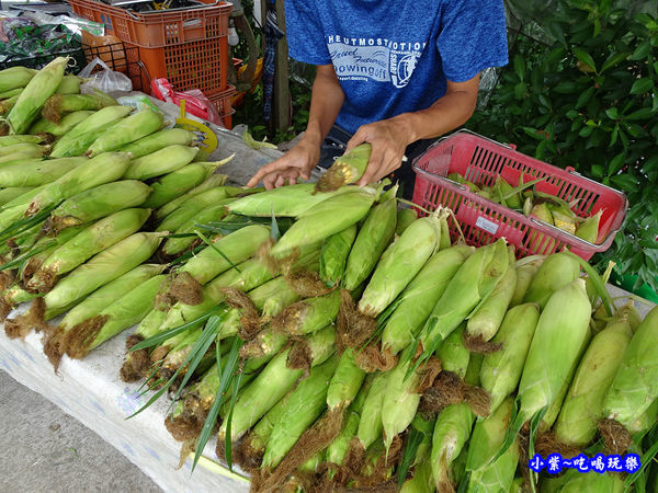 棗莊第一停車場攤販 (5).jpg