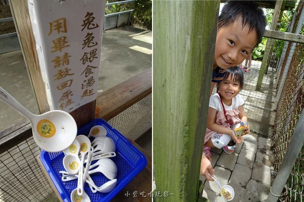 棗莊-小動物的家 (1).jpg