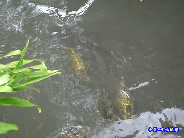 棗莊-來杯咖啡吧!  (8).jpg