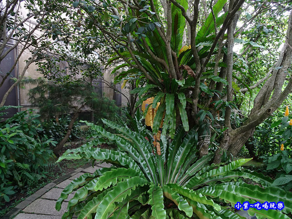 棗莊-互動式農具區 (3).jpg