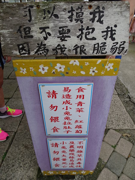 棗莊-小動物的家 (7).JPG