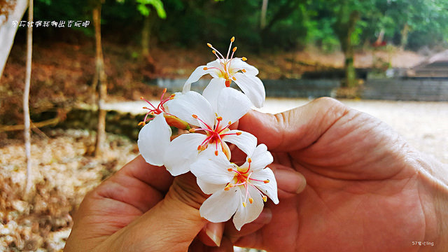 20180419_151242_mh1524130746265