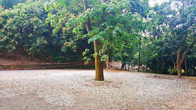 20180419_150736_mh1524131601676