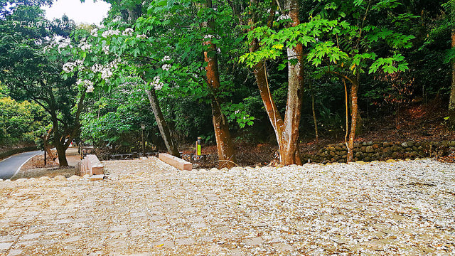 20180419_151423_mh1524130727266