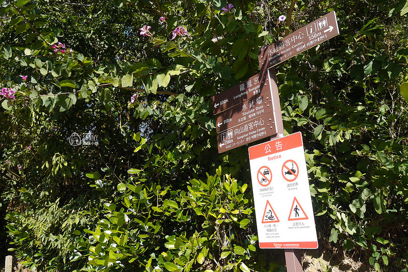 日月潭熱門景點－到＜日月潭－龍鳳宮月老廟＞拜月老擺脫單身