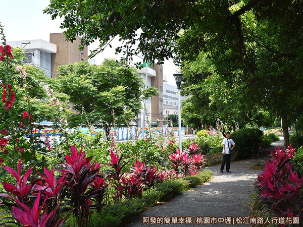 松江南路小花園08-清幽林蔭小徑.JPG